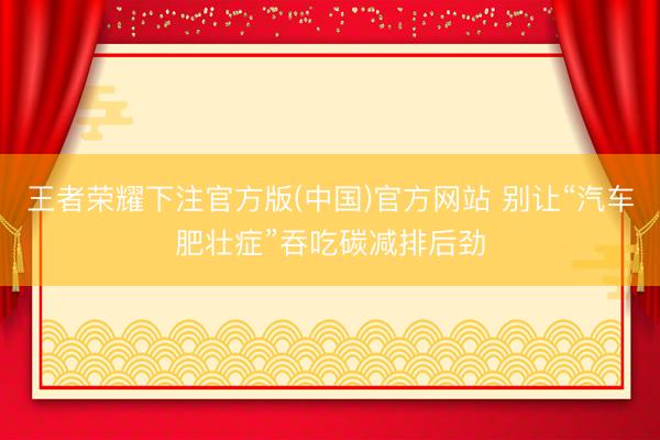 王者荣耀下注官方版(中国)官方网站 别让“汽车肥壮症”吞吃碳减排后劲