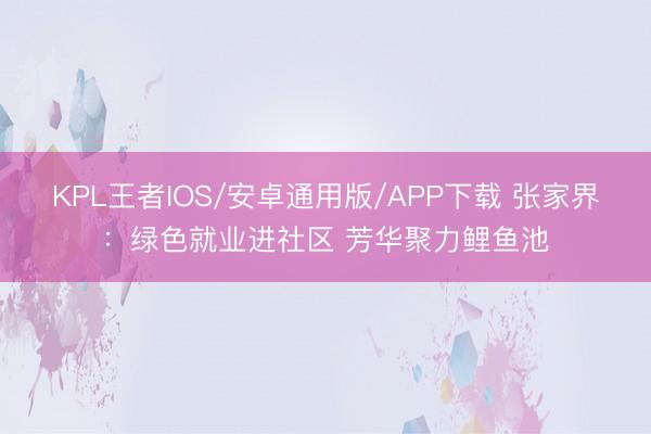KPL王者IOS/安卓通用版/APP下载 张家界：绿色就业进社区 芳华聚力鲤鱼池