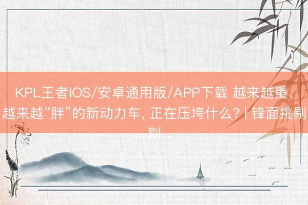 KPL王者IOS/安卓通用版/APP下载 越来越重、越来越“胖”的新动力车， 正在压垮什么? | 锋面挑剔