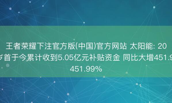 王者荣耀下注官方版(中国)官方网站 太阳能: 2026岁首于今累计收到5.05亿元补贴资金 同比大增451.99%