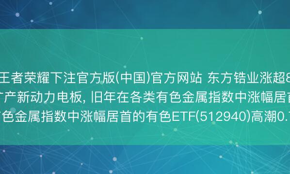 王者荣耀下注官方版(中国)官方网站 东方锆业涨超8%! 拟定增11.7亿元扩产新动力电板， 旧年在各类有色金属指数中涨幅居首的有色ETF(512940)高潮0.75%