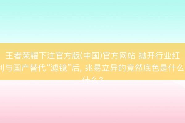 王者荣耀下注官方版(中国)官方网站 抛开行业红利与国产替代“滤镜”后， 兆易立异的竟然底色是什么?
