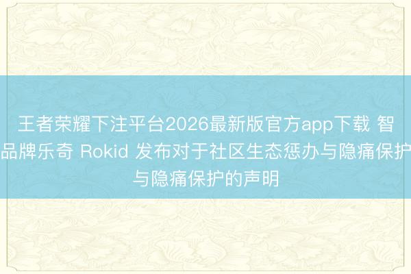 王者荣耀下注平台2026最新版官方app下载 智能眼镜品牌乐奇 Rokid 发布对于社区生态惩办与隐痛保护的声明