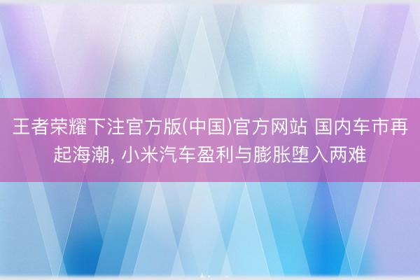 王者荣耀下注官方版(中国)官方网站 国内车市再起海潮， 小米汽车盈利与膨胀堕入两难