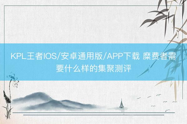KPL王者IOS/安卓通用版/APP下载 糜费者需要什么样的集聚测评