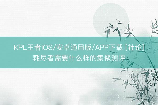 KPL王者IOS/安卓通用版/APP下载 [社论]耗尽者需要什么样的集聚测评