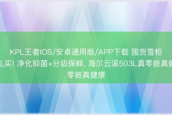 KPL王者IOS/安卓通用版/APP下载 囤货雪柜别乱买! 净化抑菌+分级保鲜, 海尔云溪503L真零嵌真健康
