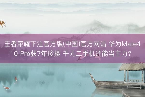 王者荣耀下注官方版(中国)官方网站 华为Mate40 Pro获7年珍摄 千元二手机还能当主力?