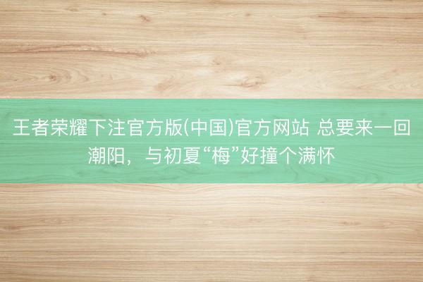 王者荣耀下注官方版(中国)官方网站 总要来一回潮阳,与初夏“梅”好撞个满怀