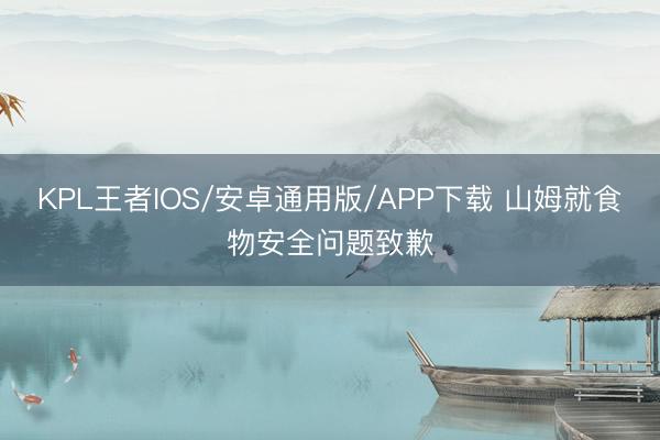 KPL王者IOS/安卓通用版/APP下载 山姆就食物安全问题致歉