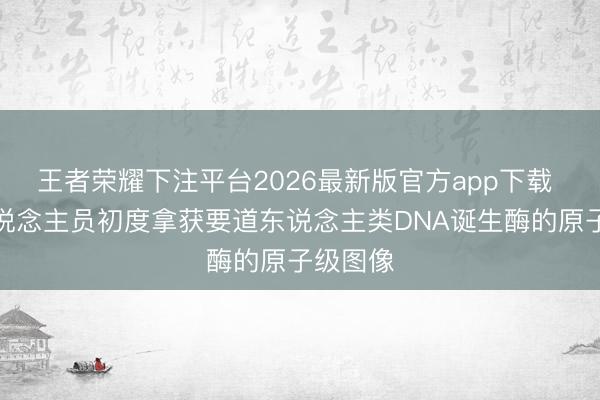 王者荣耀下注平台2026最新版官方app下载 商榷东说念主员初度拿获要道东说念主类DNA诞生酶的原子级图像